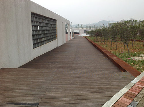 �������ݳ�ɳ��